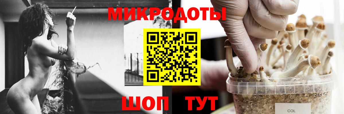 Псилоцибиновые грибы мухоморы Бердск